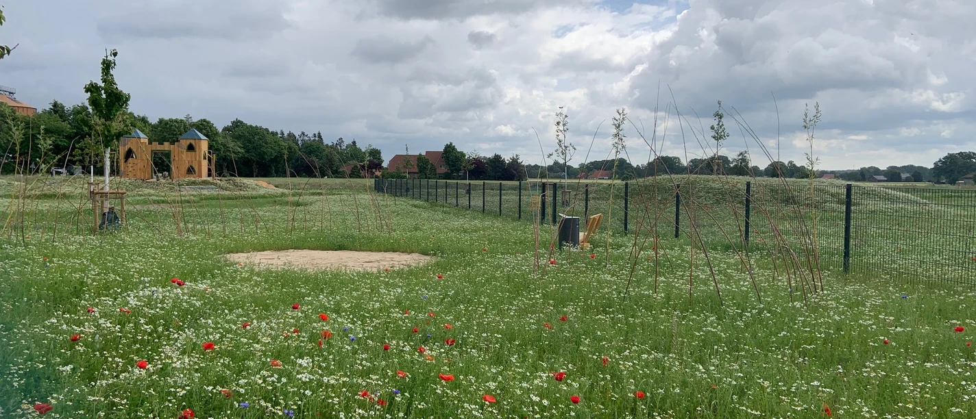 Kuhlandia Abenteuerspielplatz Stemwede Wildblumenwiese mit rotem Mohn, Sandfläche und Spielburg im Abenteuerspielplatz Kuhlandia
