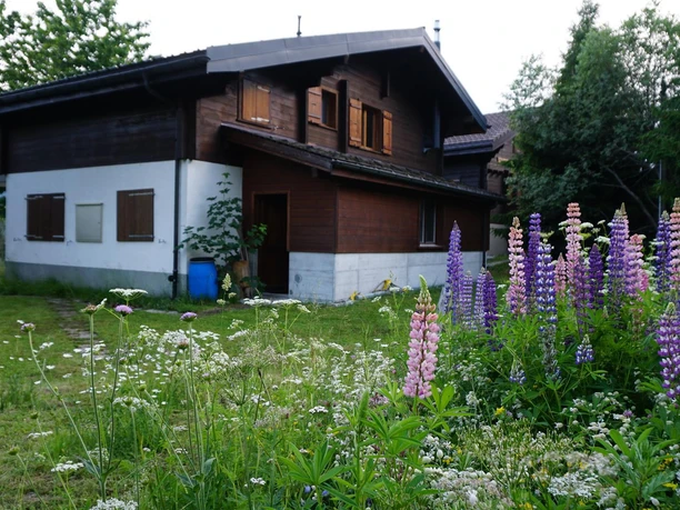 chaletansicht2