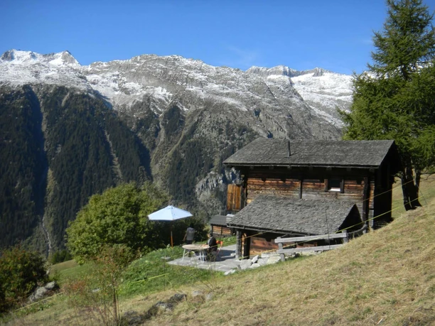 Aussicht ins Fieschertal im Sommer