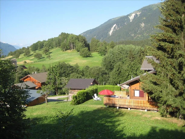 Liegewiese und Terras