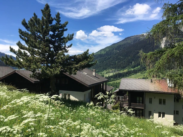 IMG_7770