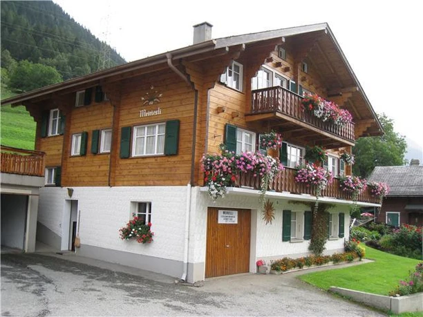 Chalet im Sommer