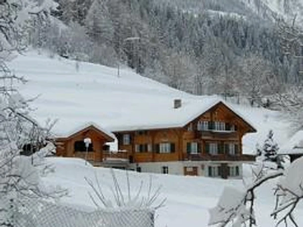 Meiriesli Winter 1