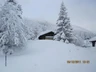 Winter 2011 Winter 2011
