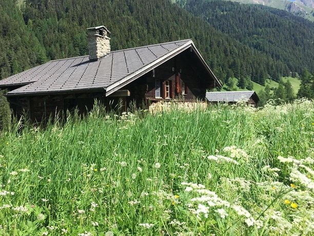 Heidehüs