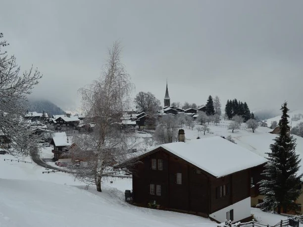 Ernen im Winter