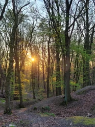Sonnenuntergang im Deister
