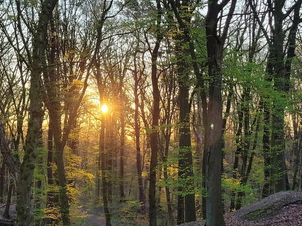 Sonnenuntergang im Deister