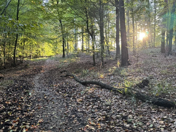 Wanderwege durch den Deister