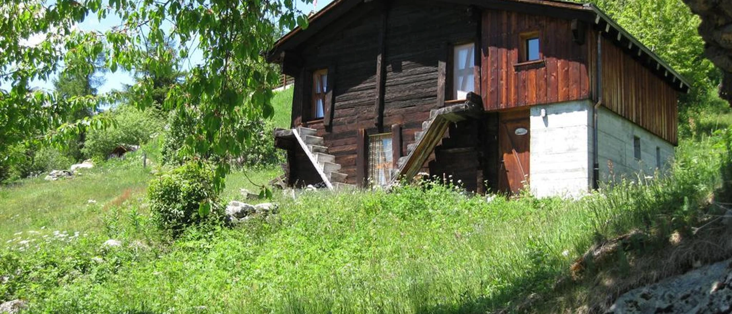 Aussenansicht Sommer