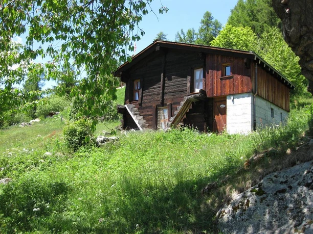 Aussenansicht Sommer