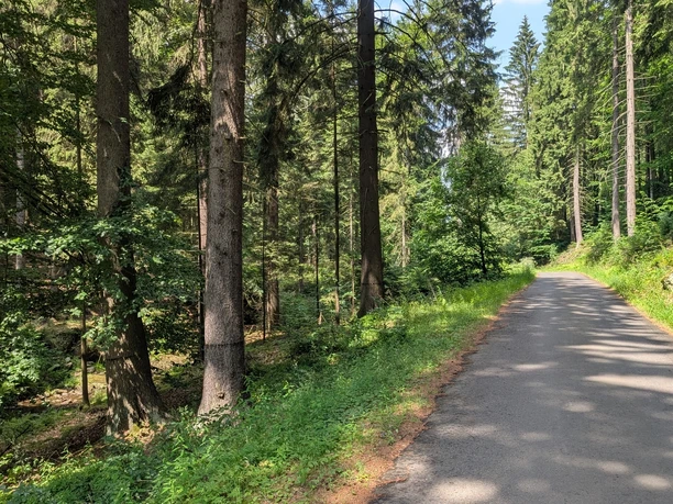 An der Sächsischen Mittelgebirgsroute bei Cunnersdorf