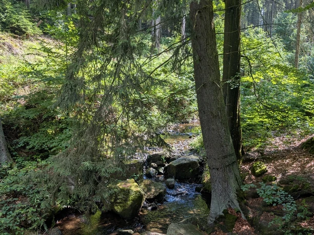 Cunnersdorfer Bach