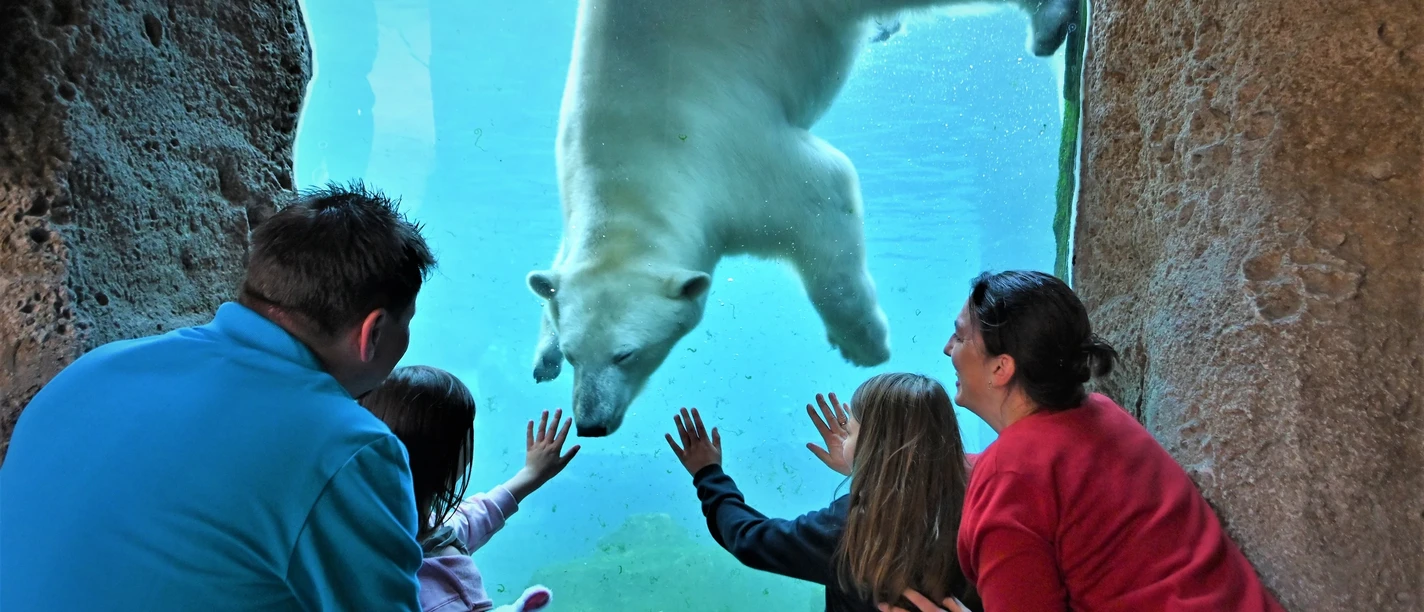 Familie mit Eisbär