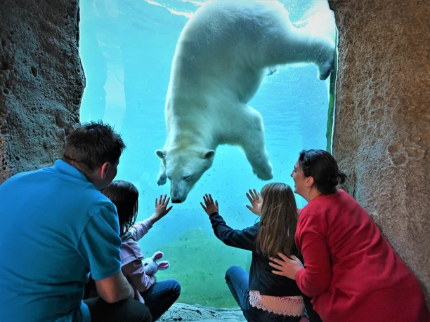 Familie mit Eisbär