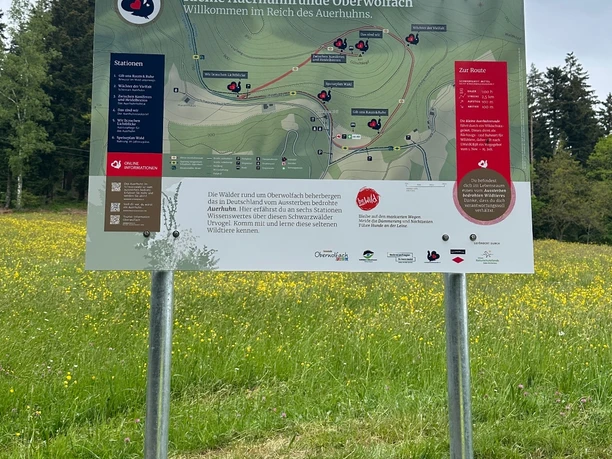 Startschild - Kleine Auerhuhnrunde Oberwolfach