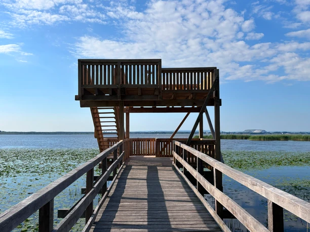 Aussichtsturm Neue Moorhütte Der Aussichtstutm an der Neuen Moorhütte in Mardorf. Die Holzkonstruktion ist auf zwei Etagen und führt einige Meter über einen Holzsteg vom Ufer zur Aussichtsplattform.