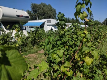 Campingplatz Nesshof