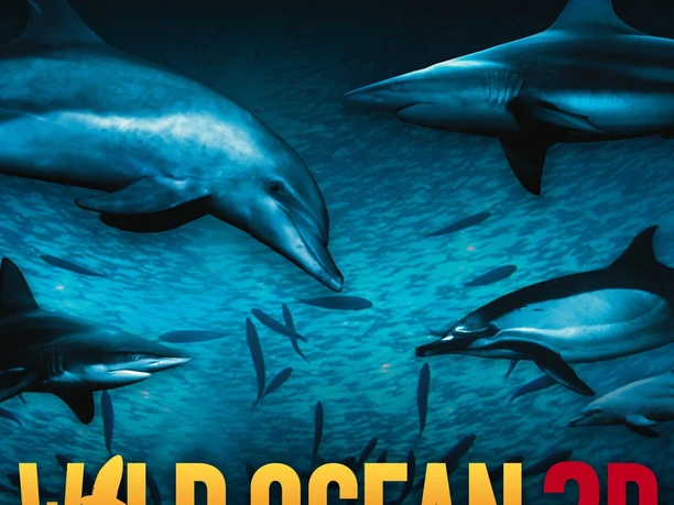 Wild Ocean Poster 3D scaled