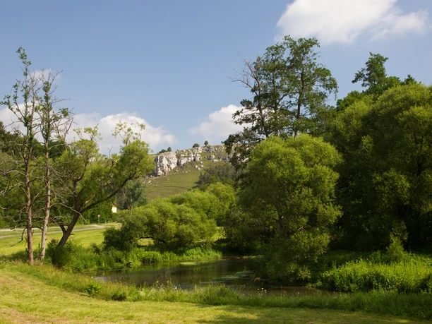 Im Tal der Schwarzen Laber zwischen Hardt und Alling Waldlandschaft mit Fluss, sanfte Hügel im Hintergrund, blauer Himmel mit Wolken.