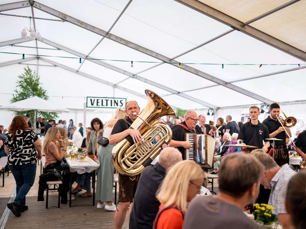 Wolfhagen_2025-07-17_Viehmarkt_10941