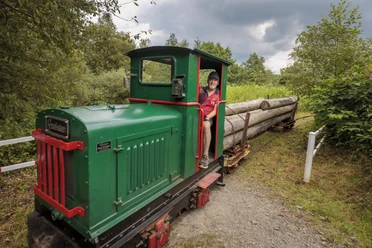 Die historische Steinbruchbahn in Aktion bei „Auf Achse" Grüne Feldbahn-Lok mit Fahrer zieht Holzstämme durch das Freilichtmuseum Lindlar