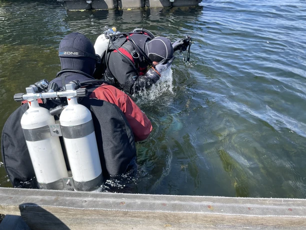 Zwei Taucher im flachen Wasser.