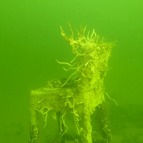 Stuhl unter Wasser mit Wasserpflanzen bewachsen.