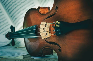 Violine | Beispielbild Geige