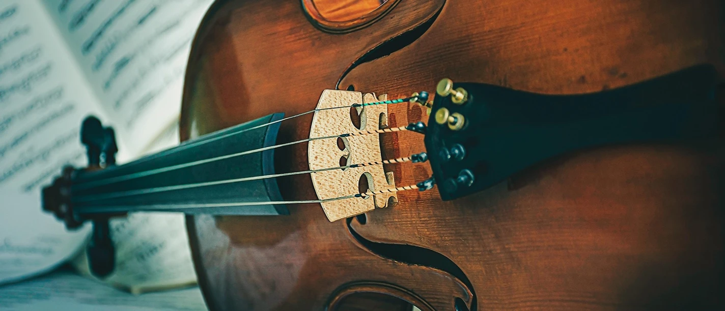 Violine | Beispielbild Geige
