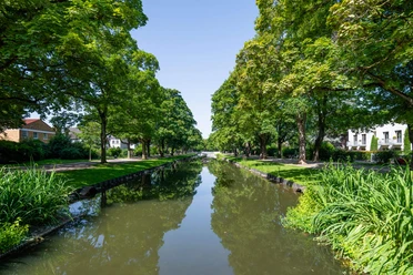 Rautenstrauch Canal A summery canal in Cologne-Lindenthal with tree-lined avenues, greenery along the banks, and reflections in the water