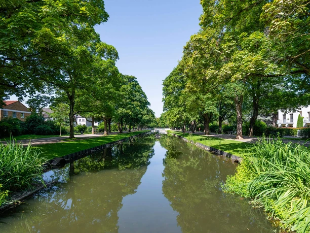 Rautenstrauchkanal Sommerlicher Kanal in Köln-Lindenthal mit Baumalleen, Ufergrün und Spiegelungen im Wasser