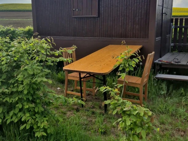 Schäferwagen am Maislabyrinth