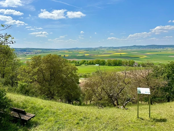 MSLT ausblick-auf-das-amoeneburger-becken (2).jpg