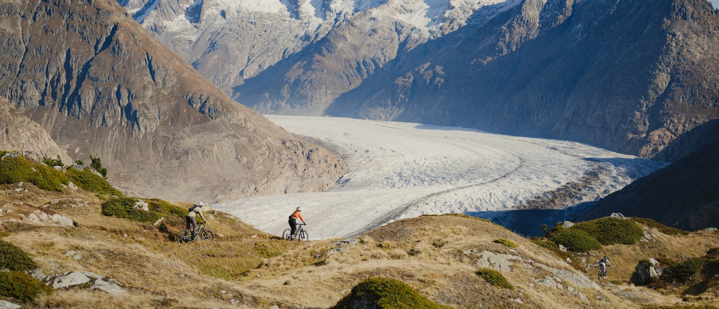 vbp_25_aletsch_mosfluh-aleiko11.jpg