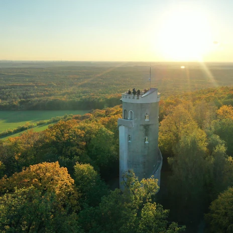 Blick auf den Albertturm mit Wald im Hintergund