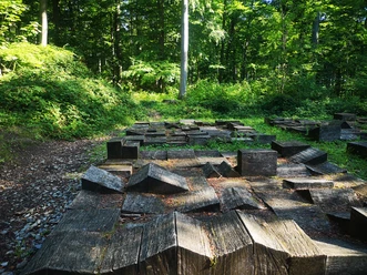 Parkettinsel am Nieheimer Kunstpfad Aus unterschiedlich hohen und schrägen Holzklötzen zusammengesetztes Parkett im Wald. Quadratisch als begehbares Kunstwerk gelegt.