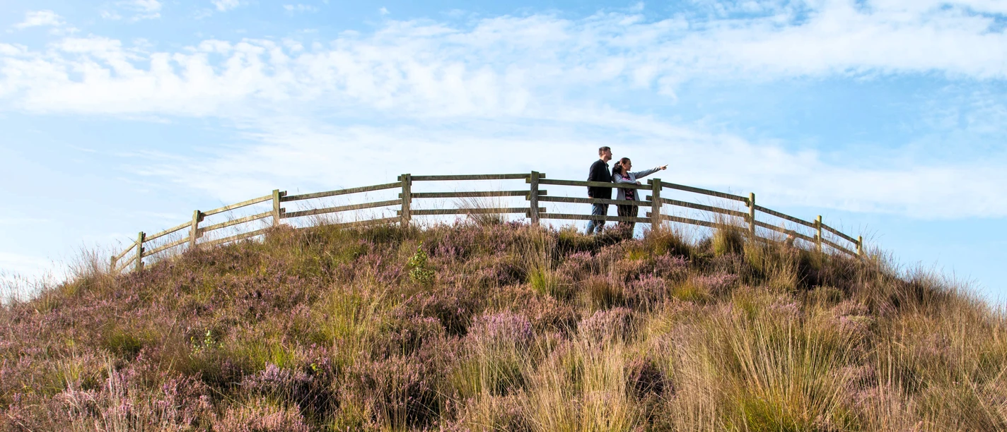 Spaziergänger auf dem Aussichtshügel im Dalum-Wietmarscher Moor_quer ©Naturpark Bourtanger Moor-Veenland.JPG