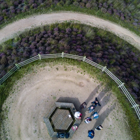 Luftaufnahme mit Blick auf Besucher auf dem Aussichtshügel im Dalum-Wietmarscher Moor©Naturpark Moor-Veenland, Holger Leue.JPG