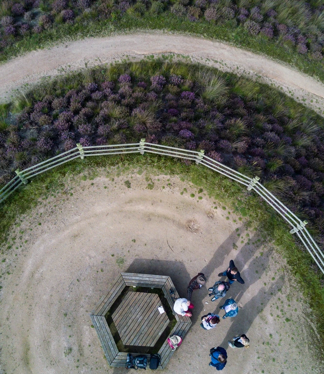 Luftaufnahme mit Blick auf Besucher auf dem Aussichtshügel im Dalum-Wietmarscher Moor©Naturpark Moor-Veenland, Holger Leue.JPG