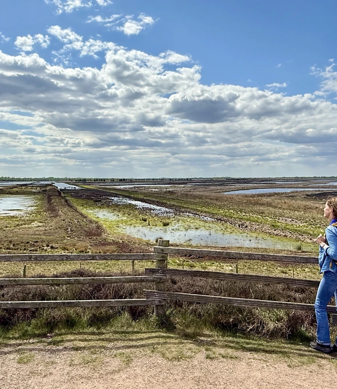 Blick vom Aussichtshügel im Dalum-Wietmarscher Moor(c)Naturpark_Moor_Veenland.JPG
