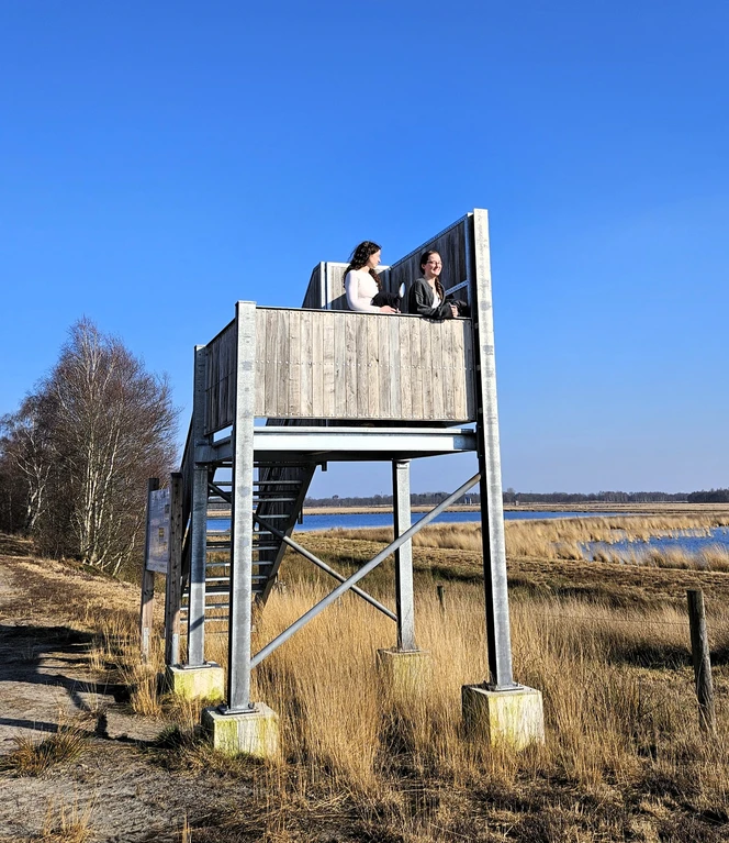 Vogelbeobachtungsturm des NABU im Wesuweer Moor ©Emsland Tourismus GmbH .jpg