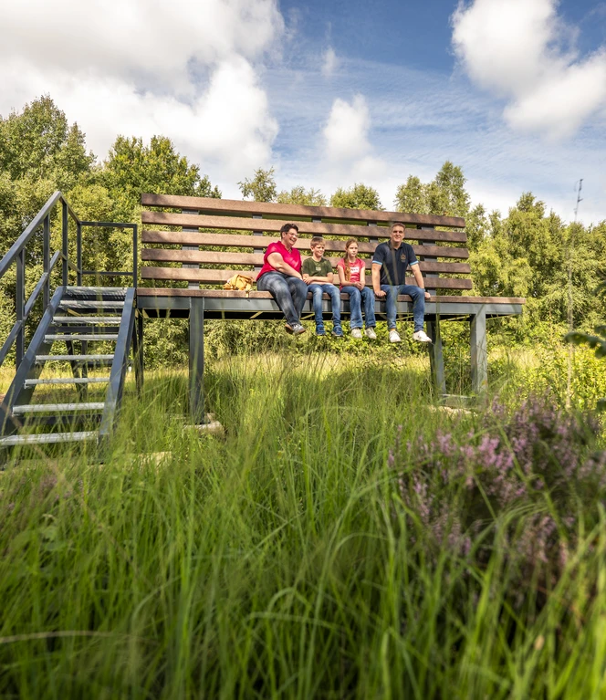 Familienausflug - XXL-Bank im Provinzialmoor ©Emsland Tourismus GmbH (2)(3).jpg