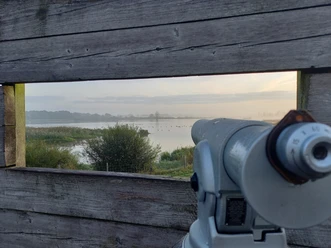 Aussichtsplattform Holtgast-Sicht auf die Auenlandschaft-Holtgast-Apen.jpg Blick durch Holzwand der Aussichtsplattform auf Auenlandschaft mit Wasser und Fernrohr