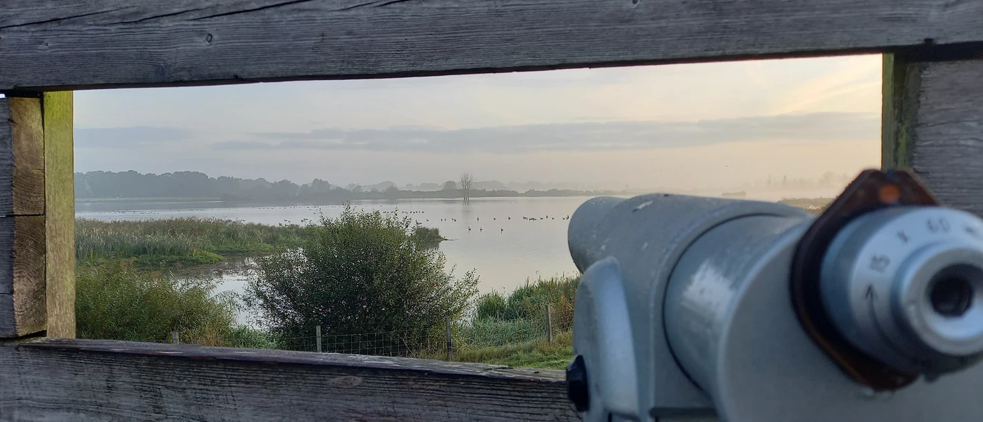 Aussichtsplattform Holtgast-Sicht auf die Auenlandschaft-Holtgast-Apen.jpg Blick durch Holzwand der Aussichtsplattform auf Auenlandschaft mit Wasser und Fernrohr
