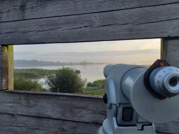 Aussichtsplattform Holtgast-Sicht auf die Auenlandschaft-Holtgast-Apen.jpg Blick durch Holzwand der Aussichtsplattform auf Auenlandschaft mit Wasser und Fernrohr