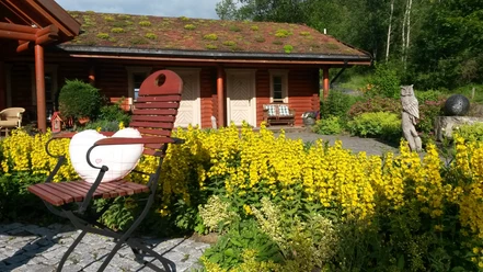 Terrasse und Blockhaus
