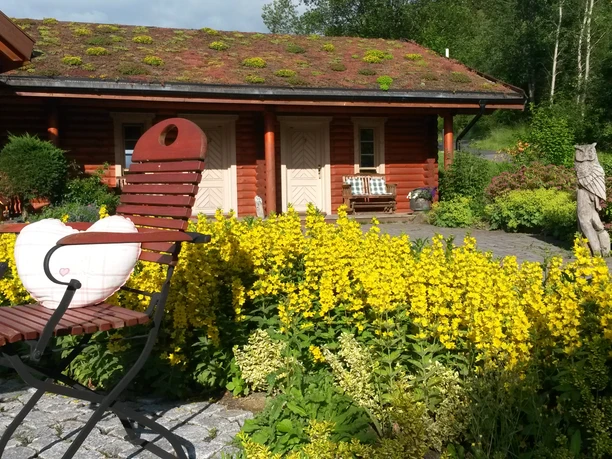 Terrasse und Blockhaus