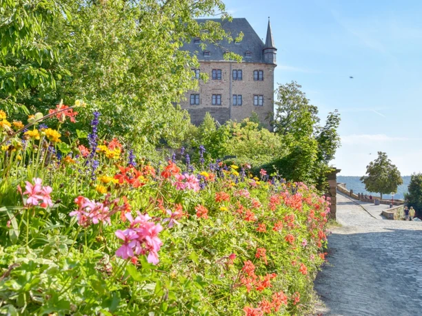 MSLT marburger-landgrafenschloss-im-sommer.jpg