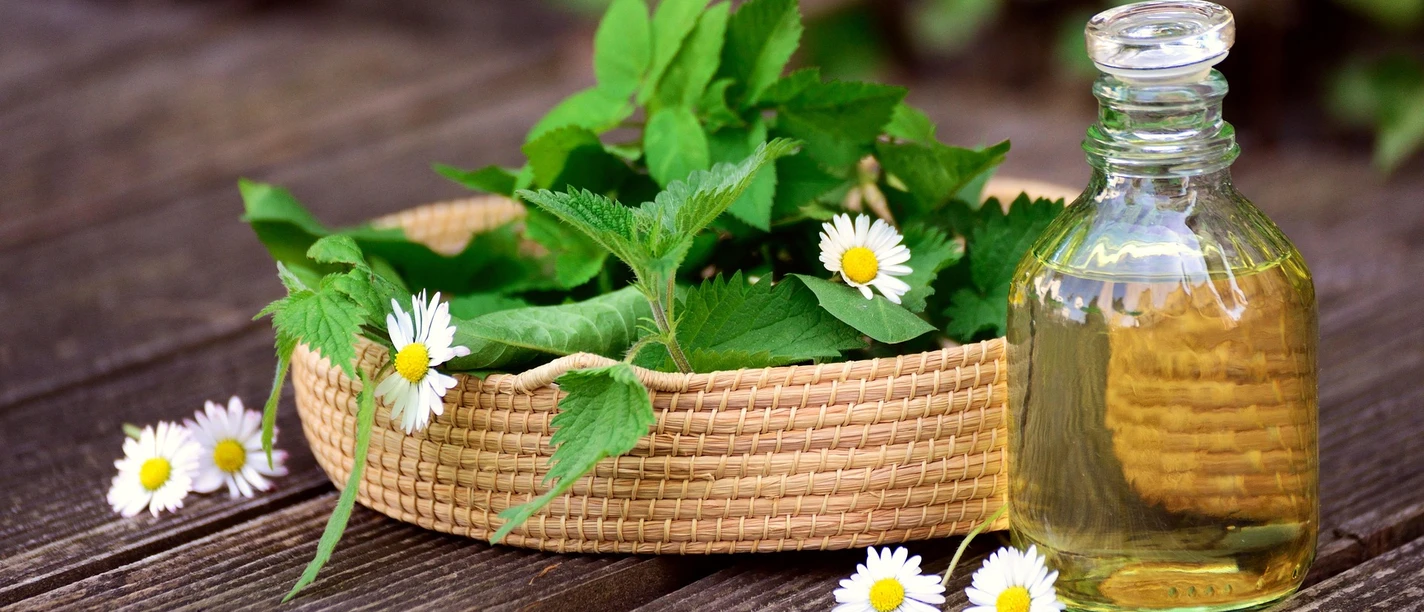Naturmedizin | Beispielbild Kräuter
